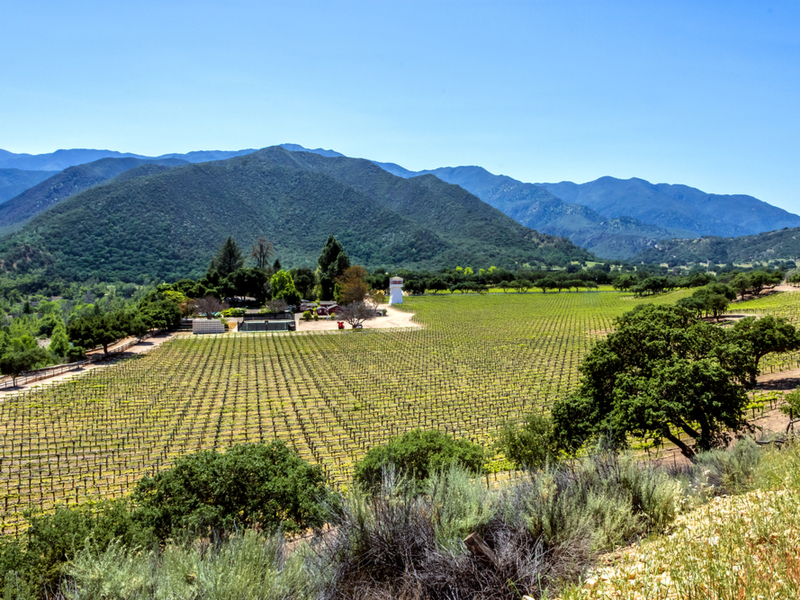 Winery along gorgeous Carmel Valley, one of our top picks for where to stay in Big Sur