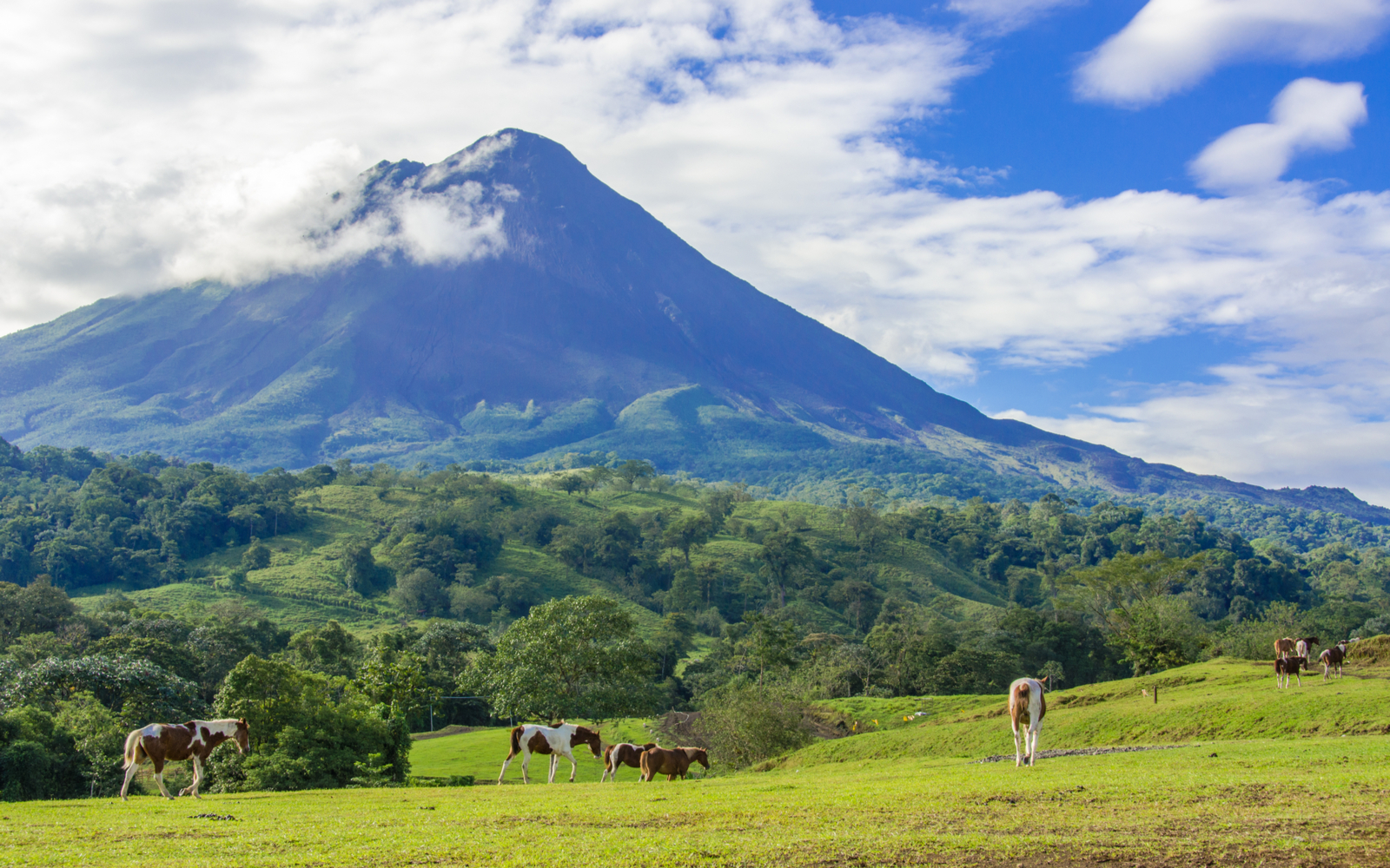 Featured image for a piece on where to stay in Costa Rica featuring a volcano in the background