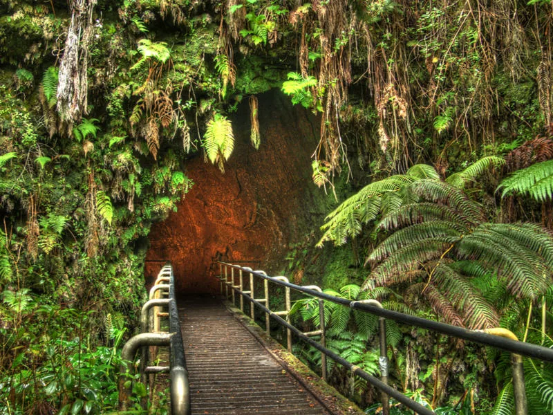 Entrance to one of the best things to do in Hawaii, the Thurston Lava Tube in Volcano National Park