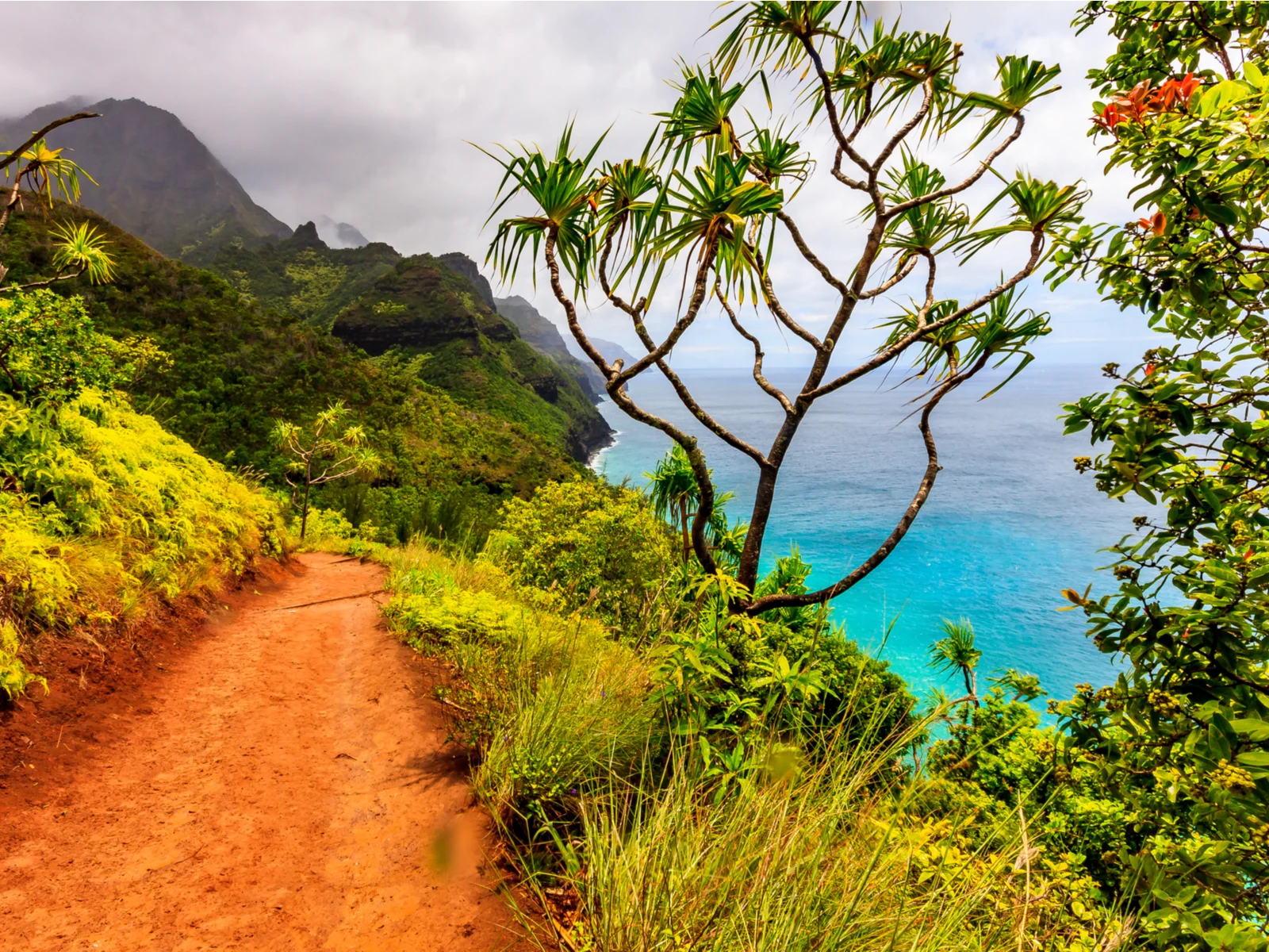 Hiking trail and the Na Pali coast pictured during the cheapest time to visit Kauai, in the Fall and early Winter
