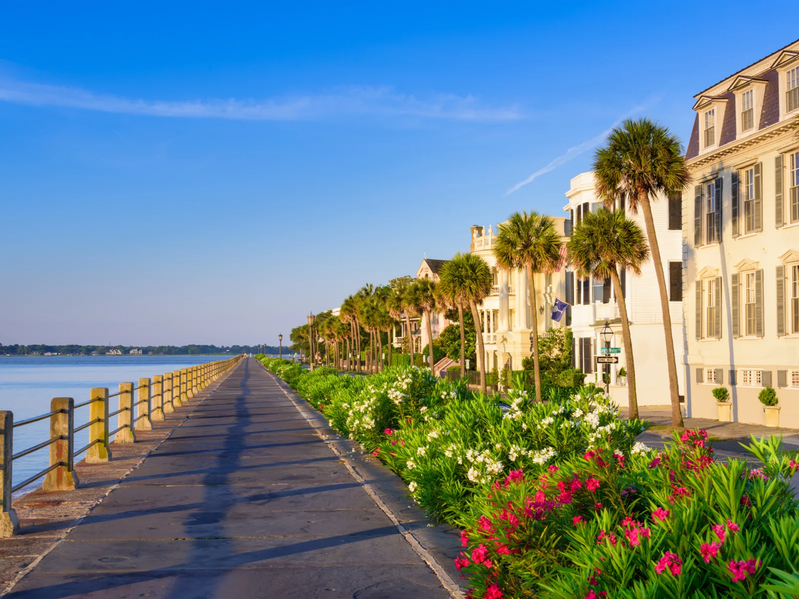 Gorgeous view of the Battery in the middle of the day, one of the best things to do in Charleston SC
