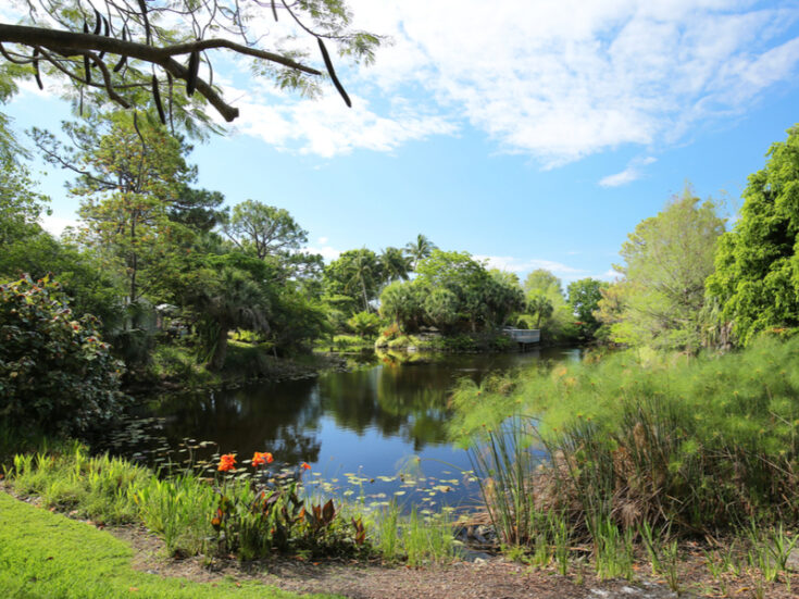 24 Best Botanical Gardens In Florida (Our Picks For 2024)