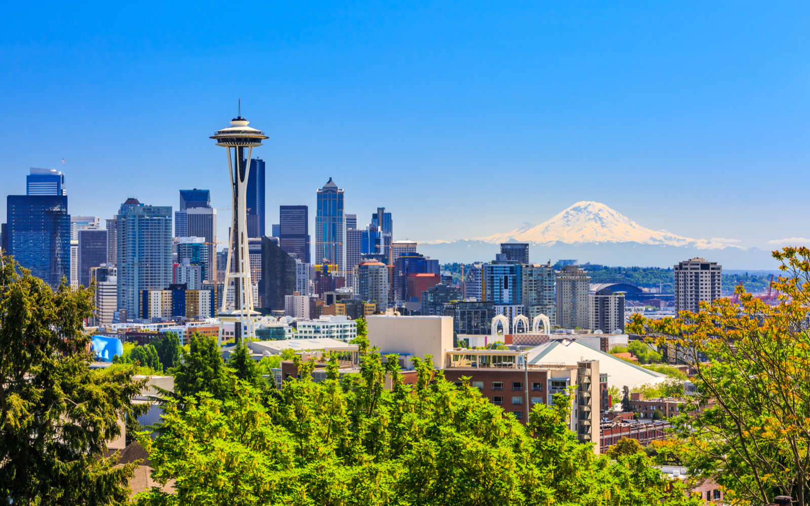 Cover image for a piece on the best things to do in Seattle featuring Mount Rainier and the sky needle in the foreground