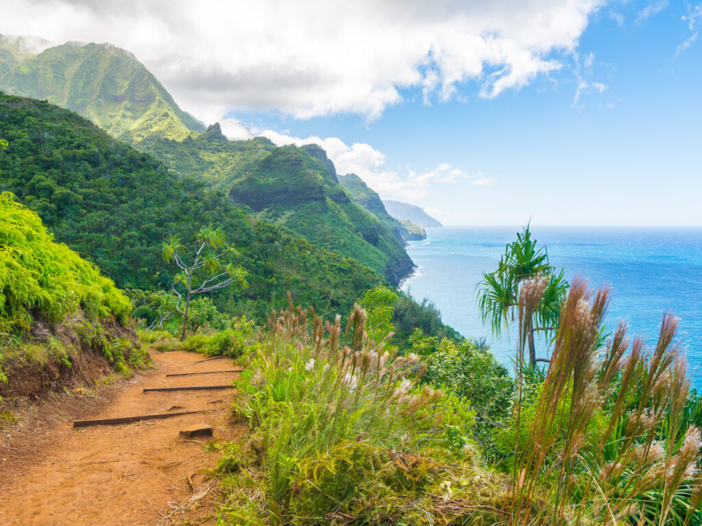 Map of the 7 Hawaiian Islands & What to Do on Each Travellers 🧳