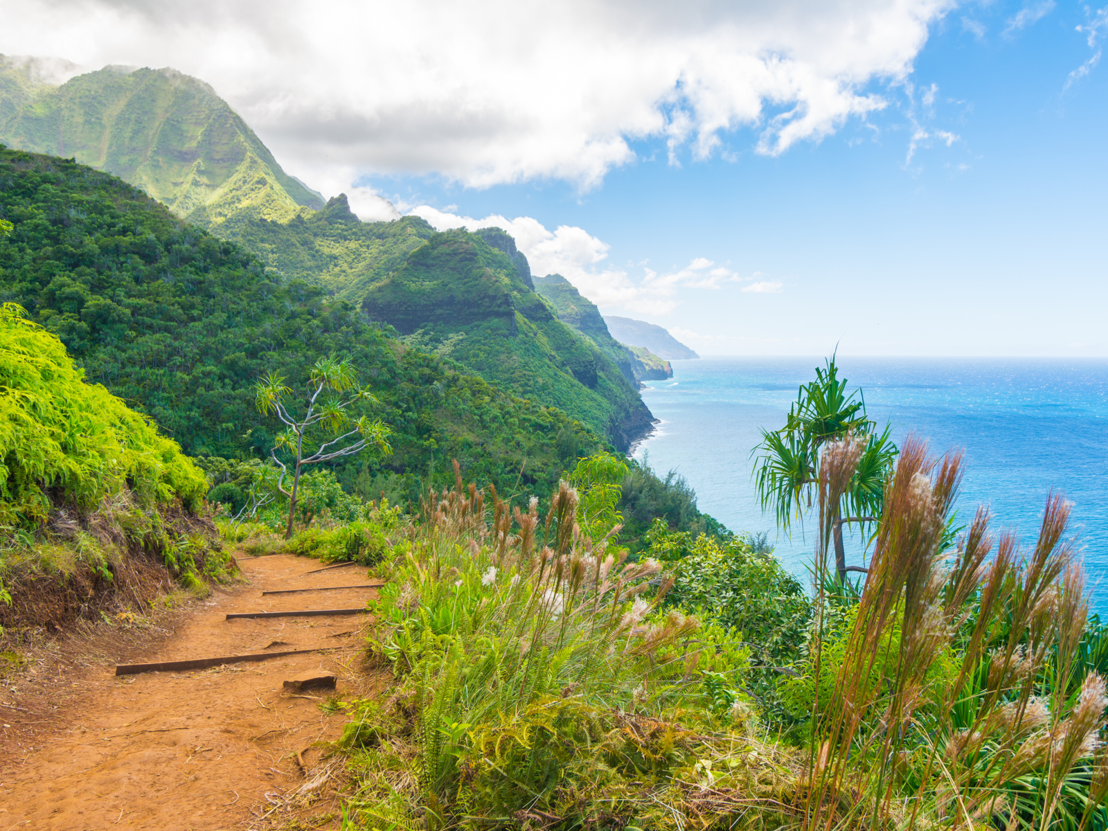 Gorgeous view from the top of a Kauai hike for a piece titled Map of the Hawaiian Islands
