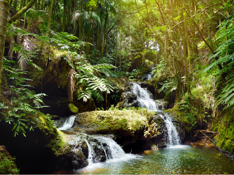 Hawaii Tropical Botanical Garden, one of the best things to do in Hawaii