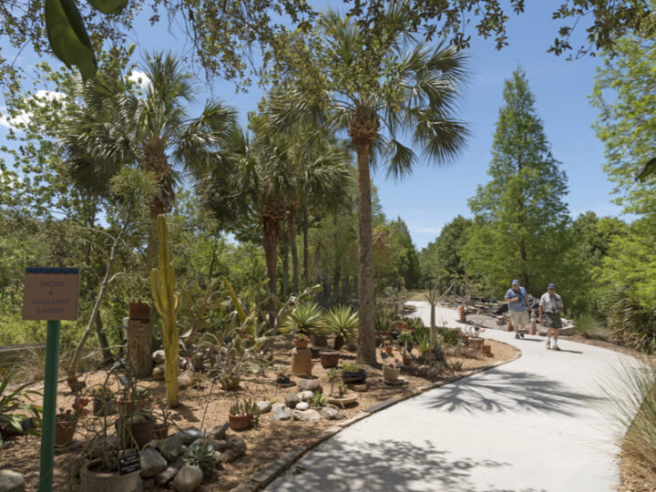 24 Best Botanical Gardens In Florida (Our Picks For 2024)