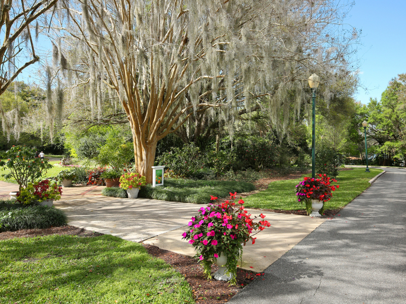 Harry P Leu Gardens, some of the best botanical gardens in Florida