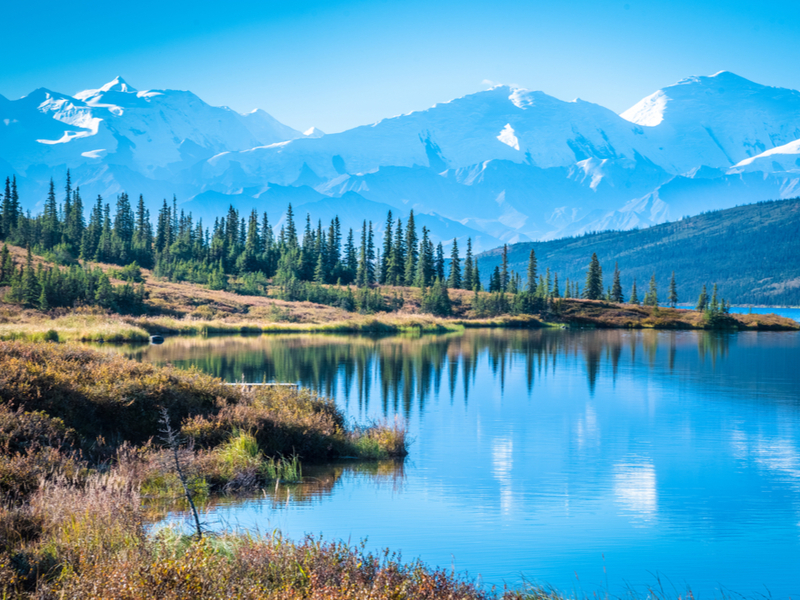 Picturesque scene of Denali National Park showcasing the reason it's one of the best National Parks in the United States