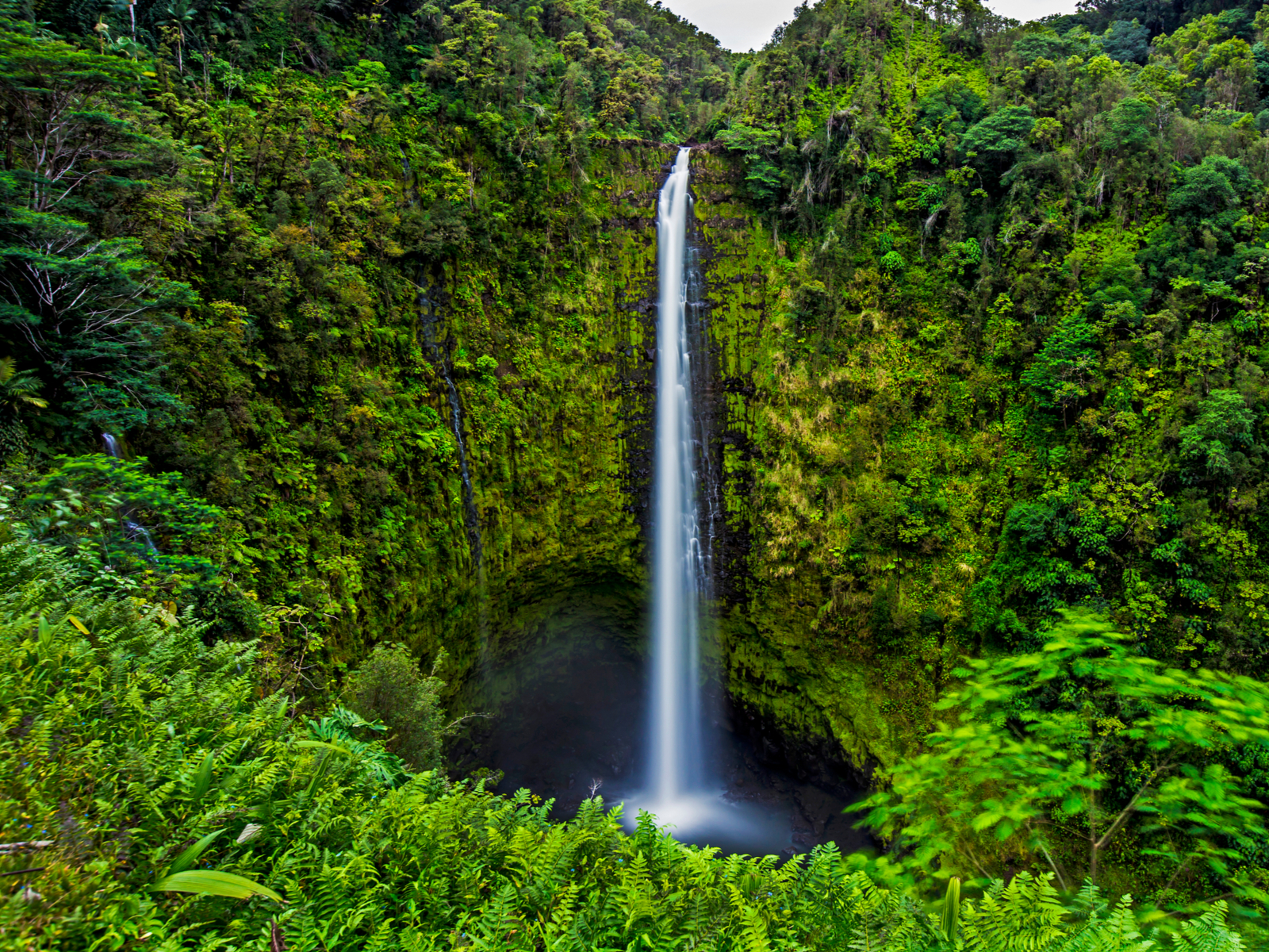 View from the trail of one of the best hikes in Hawaii, the ʻAkaka Falls Loop Trail
