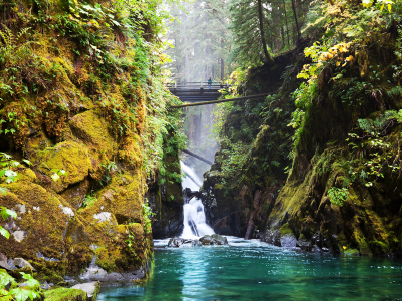 Sol Duc waterfall in Olympic national park, one of the best in the US