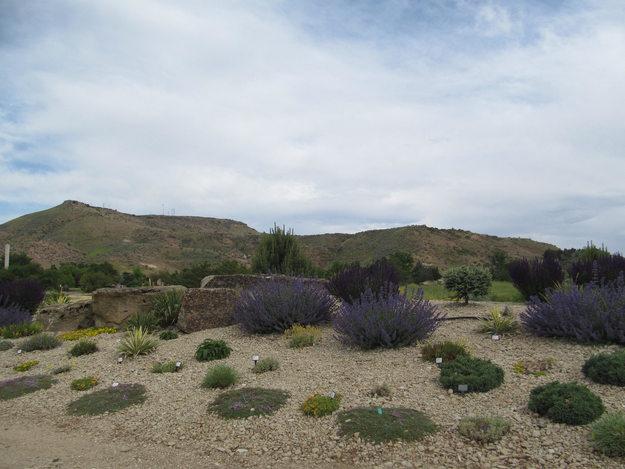 Various plants planted in Idaho Botanical Garden, one of the best things to see in Idaho