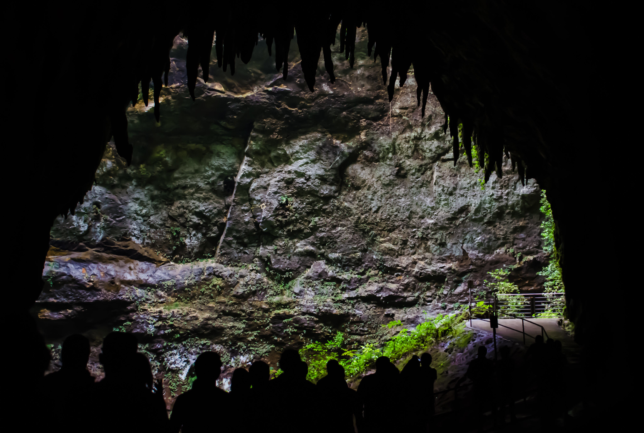 Silhouette of people visiting the majestic Rio Camuy River Cave Park, one of the top things to do in Puerto Rico