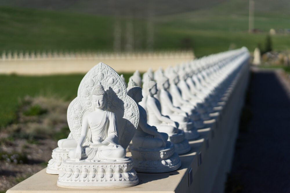 Perfectly aligned small white figures of Buddha at Garden of One Thousand Buddhas, a piece on the best things to do in Montana