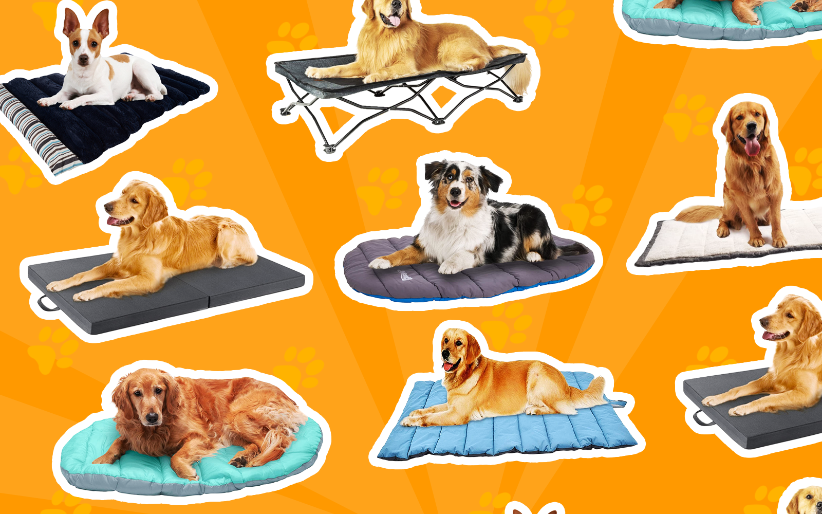 7 Best Travel Dog Beds in 2022 | Top Picks