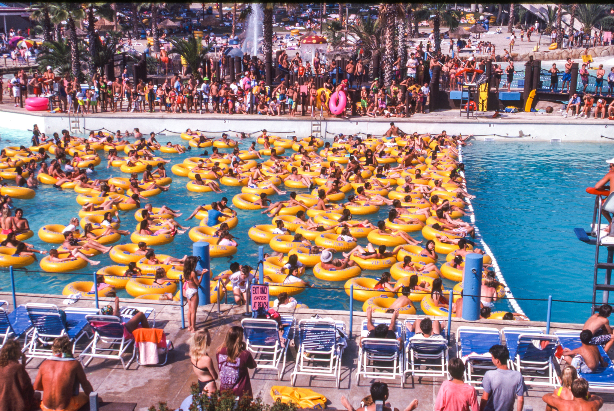 A wave pool at Raging Waters in San Dimas, one of the best water parks in the USA, filled with people in their swimming rings waiting for the wave