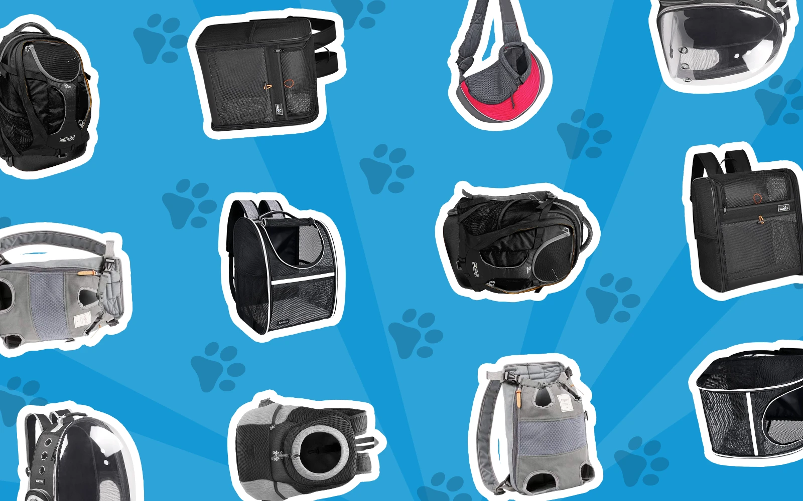 7 Best Dog Hiking Backpacks in 2023