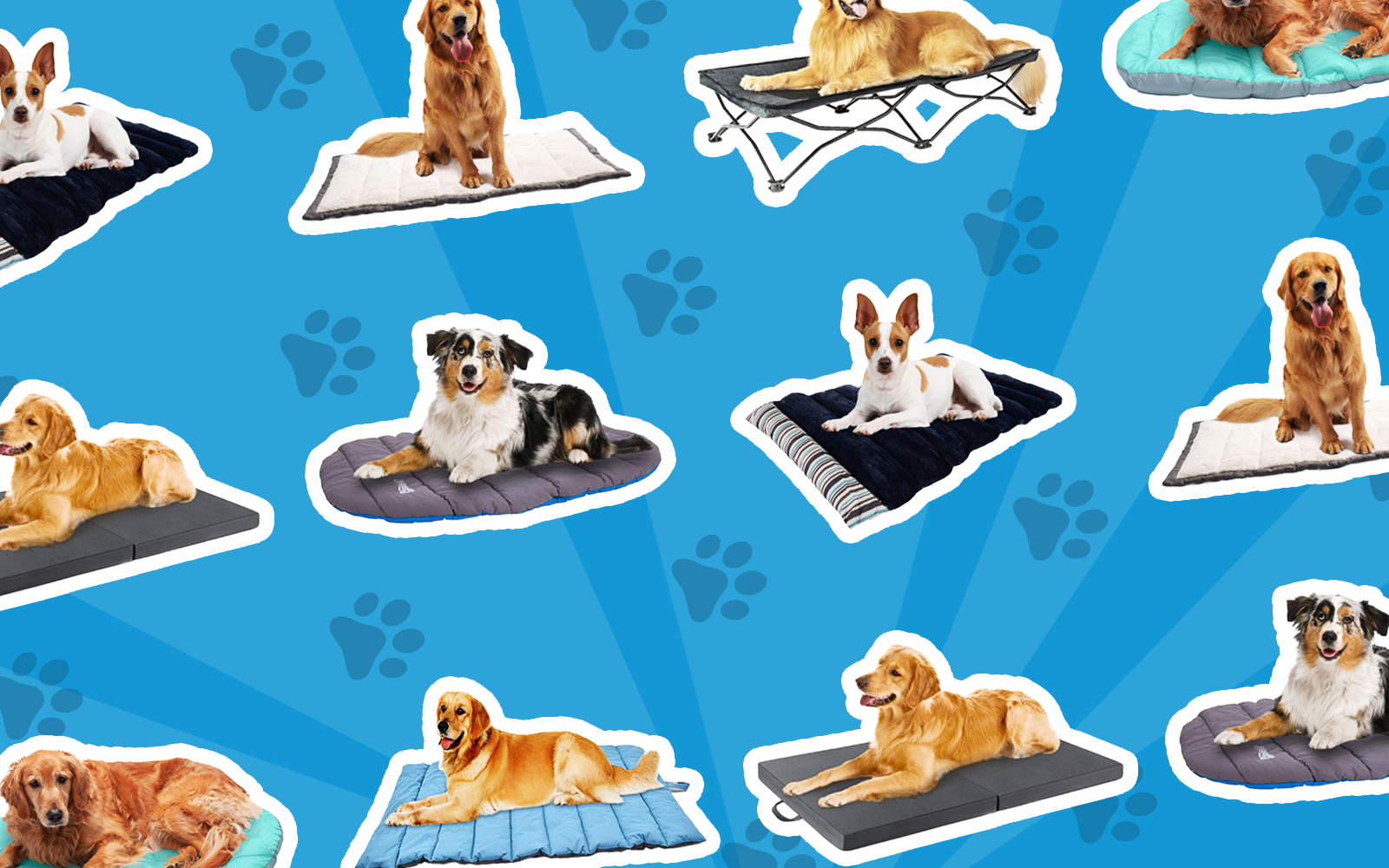 7 Best Travel Dog Beds in 2023 | Top Picks