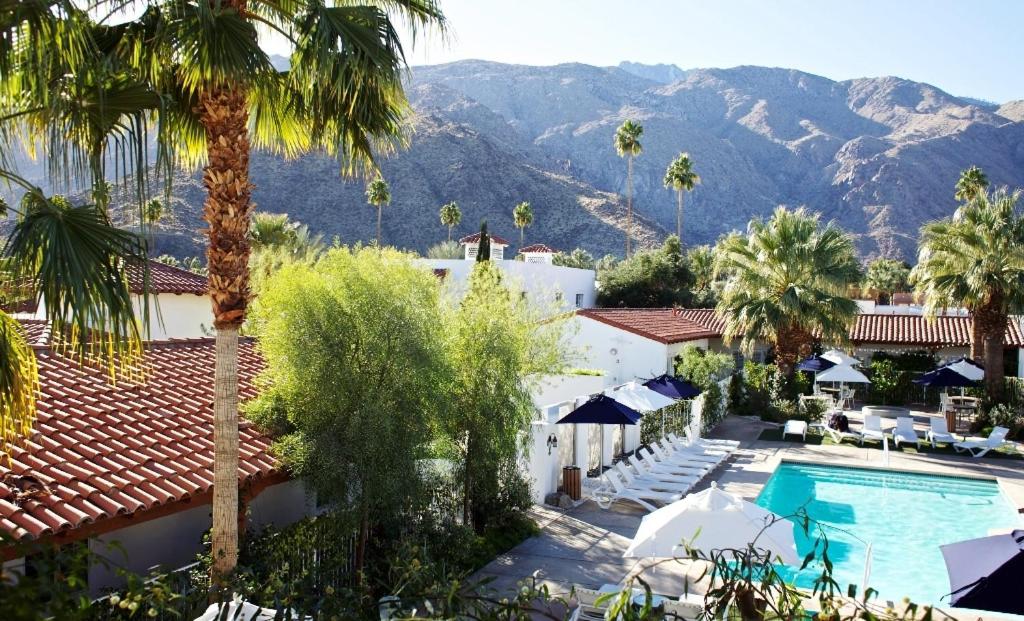 Room view of the pool area at one of the best hotels in Palm Springs, the Alcazar