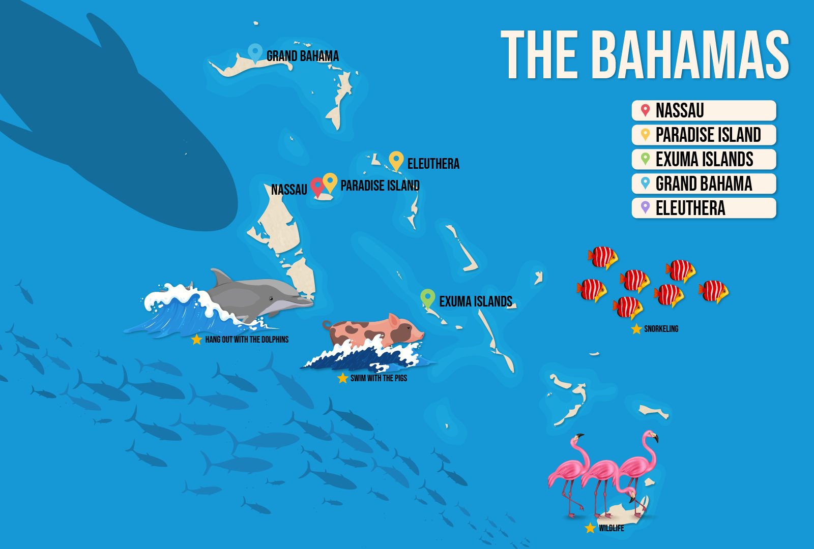 Where to Stay in the Bahamas map featuring the 5 best areas displayed on a vector map
