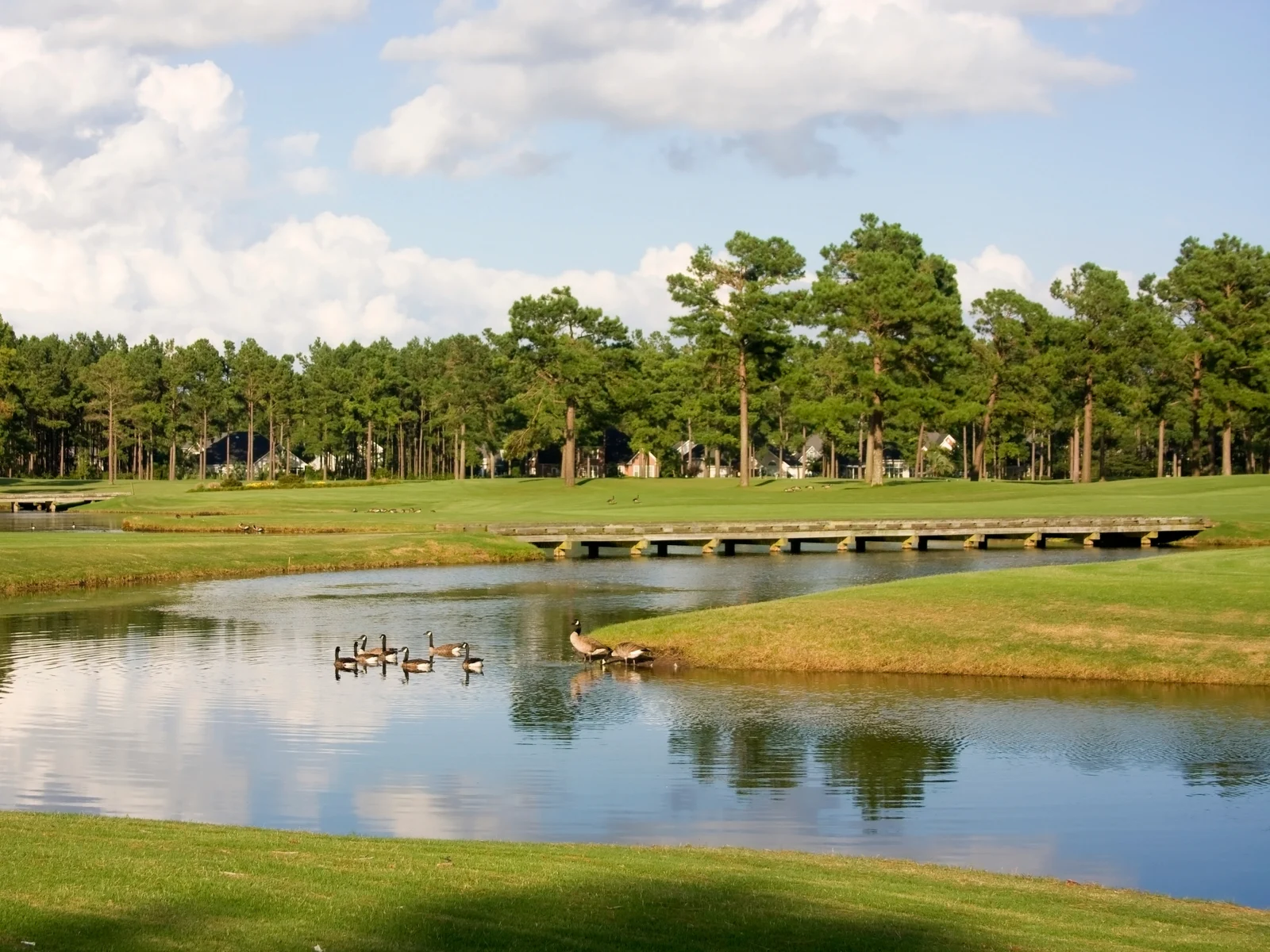 Best things to do in Myrtle Beach featuring a golf course