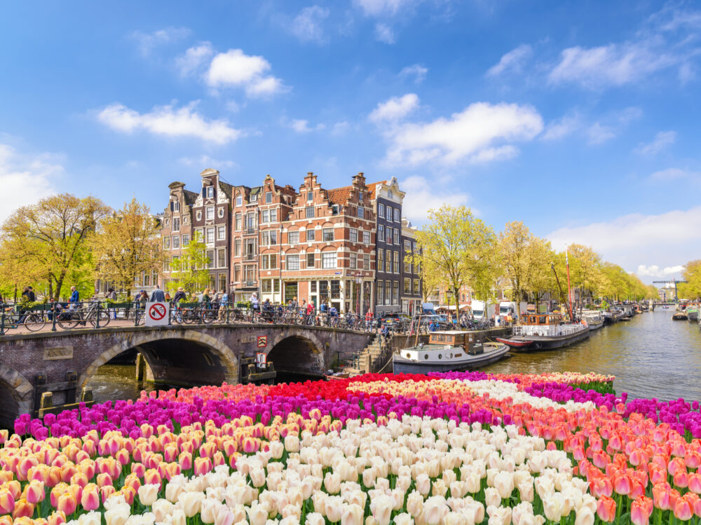 Amsterdam pictured during the overall best time to visit with tulips in full bloom, warm weather, and blue skies