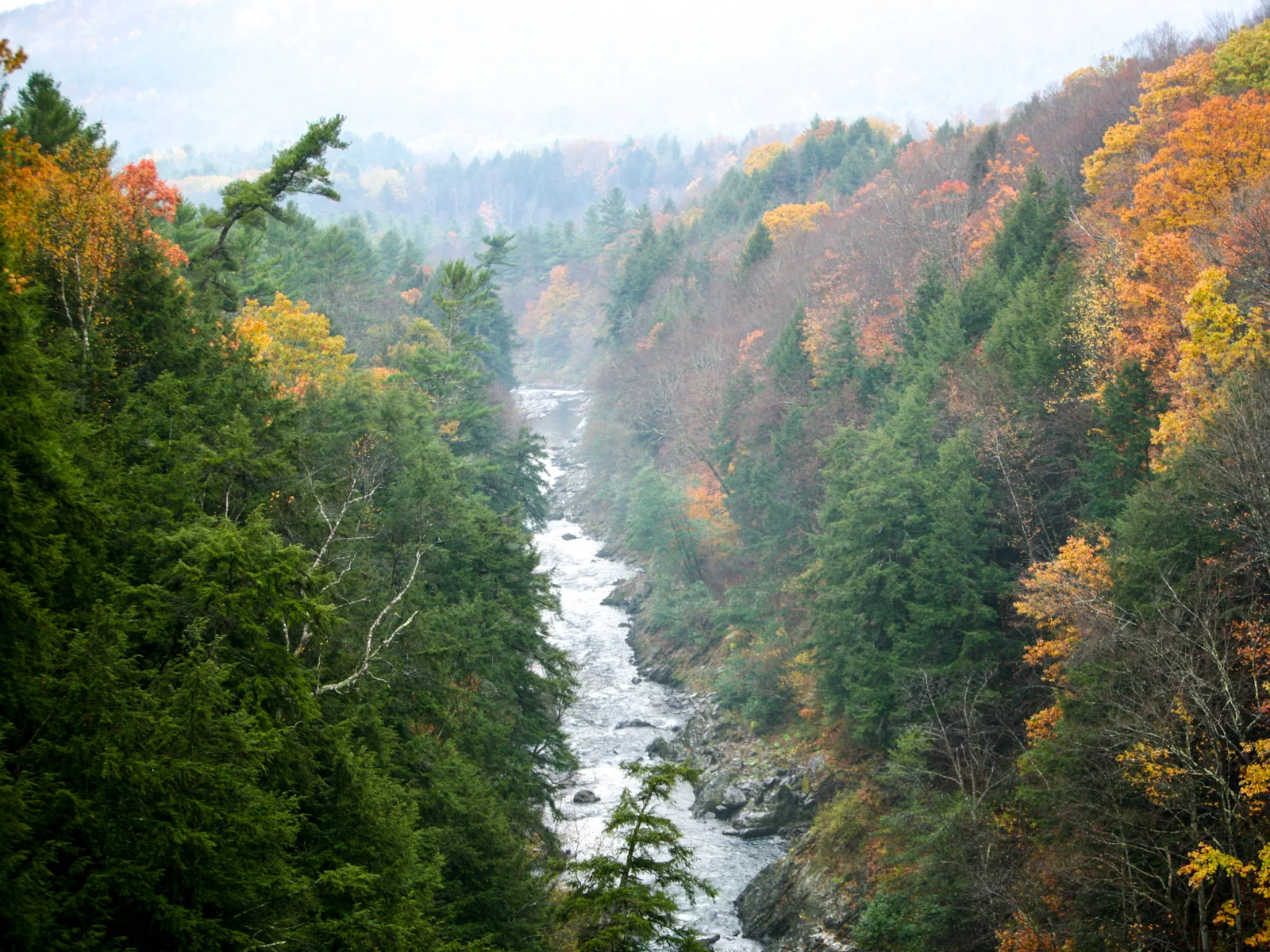 Misty view of the Quechee Gorge, one of the best things to do in Vermont