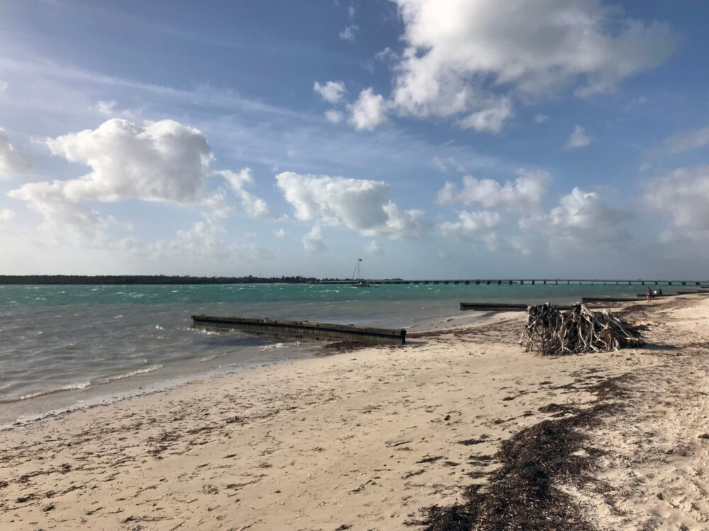 Historic Virginia Key Beach Park, one of the best things to do in Miami