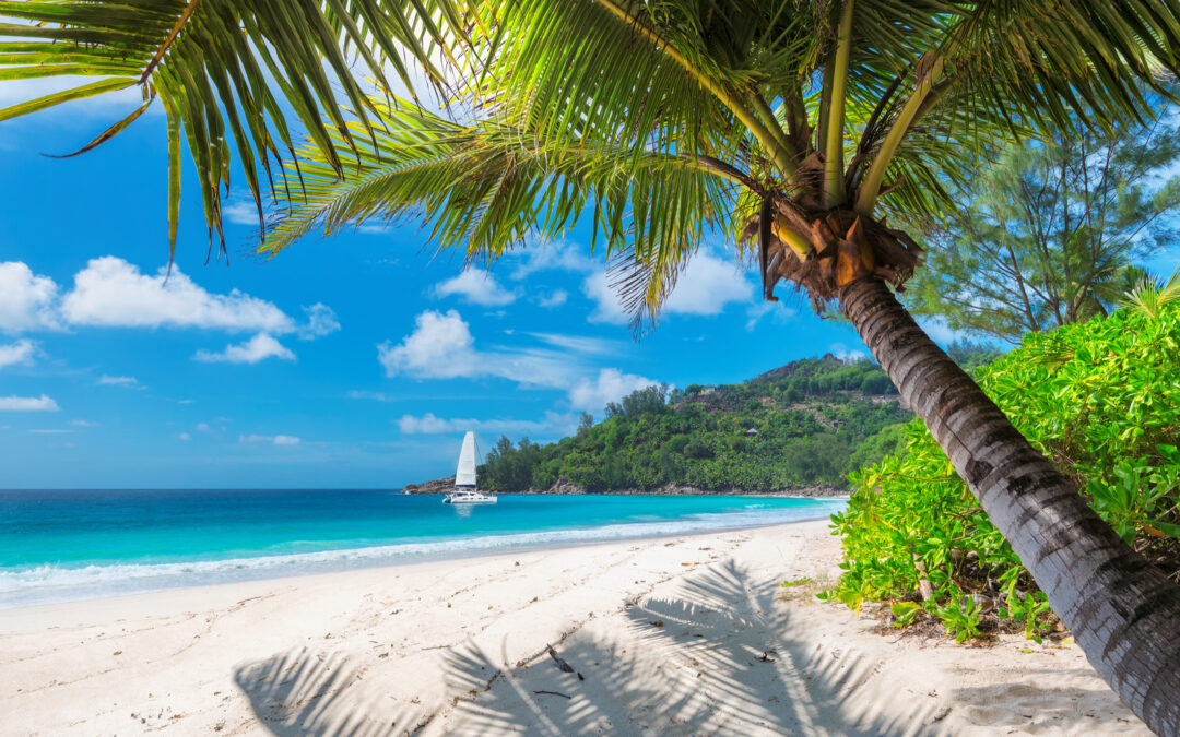 Is Jamaica Safe to Visit in 2022? Safety Guide Travellers 🧳