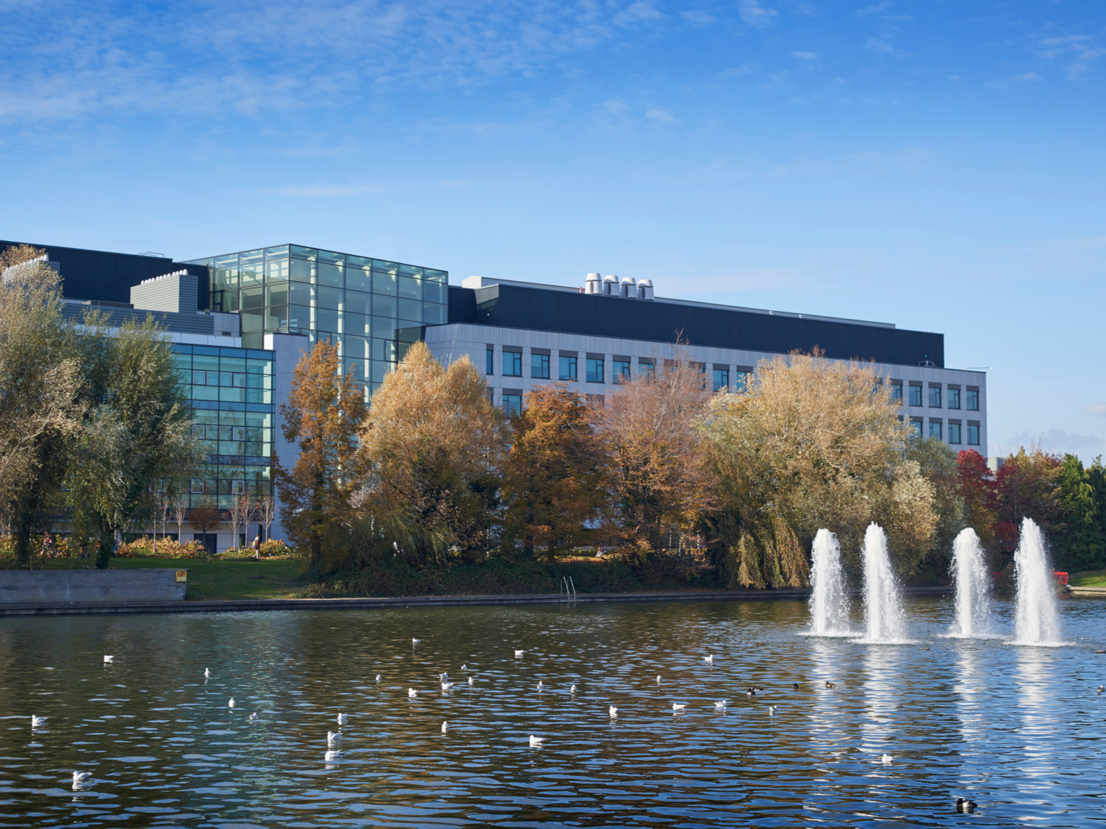 University College Dublin, considered as the largest and one of the best universities in Ireland, facing a pool with ducks swimming near water spouters