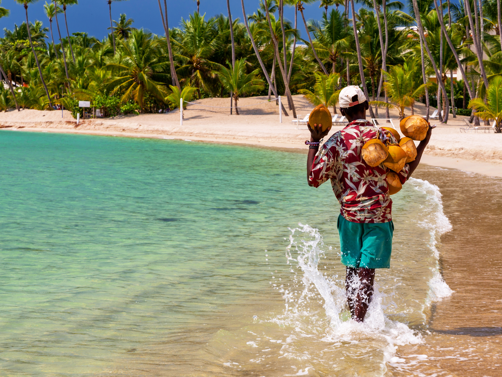 A man, wearing a cap and a beach shirt, carrying coconuts on his shoulders and walking towards a row of palm trees at Playa Juan Dolio, known as one of the best beaches in the Dominican Republic