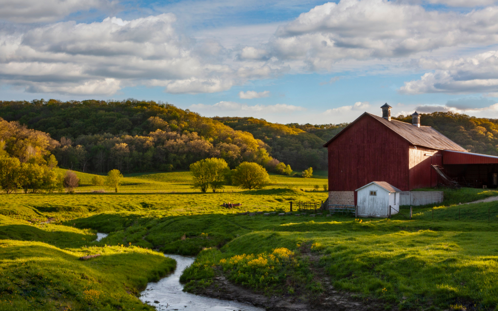 Image of a dairy farm, one of the best Wisconsin attractions, on a sunny day