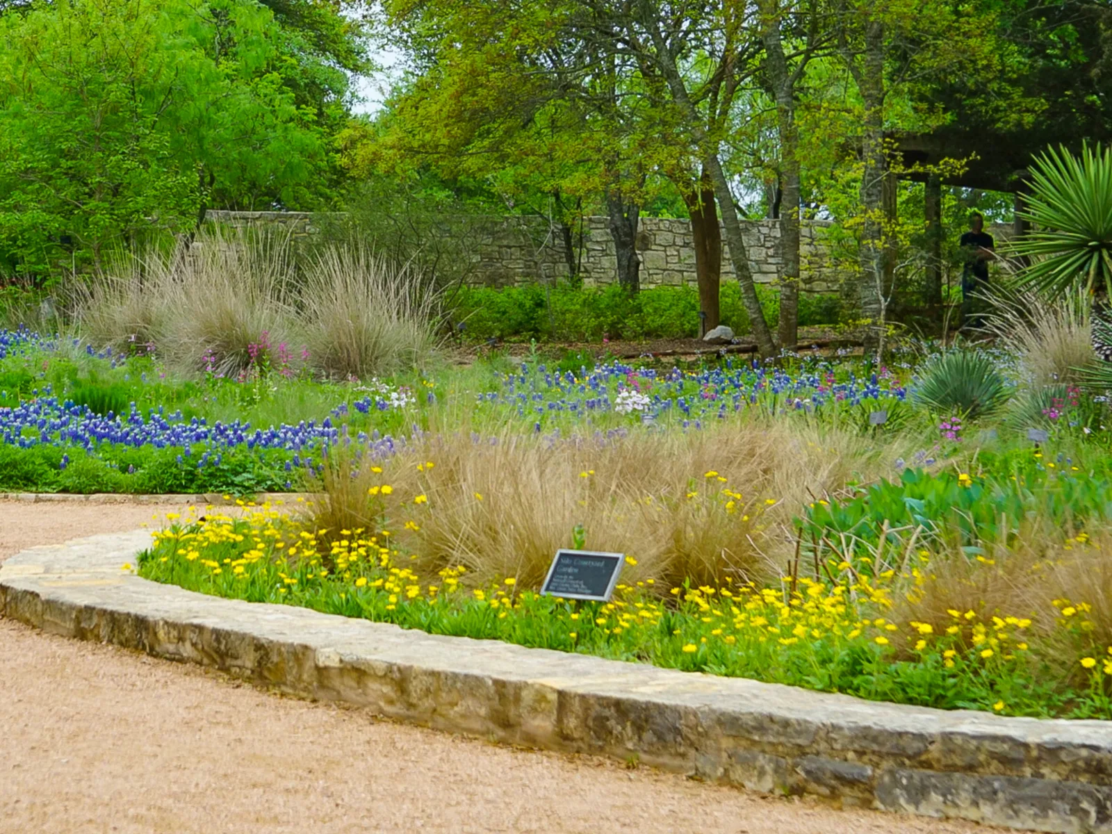 Lady Bird Johnson Wildflower Center, one of the best things to do in Austin