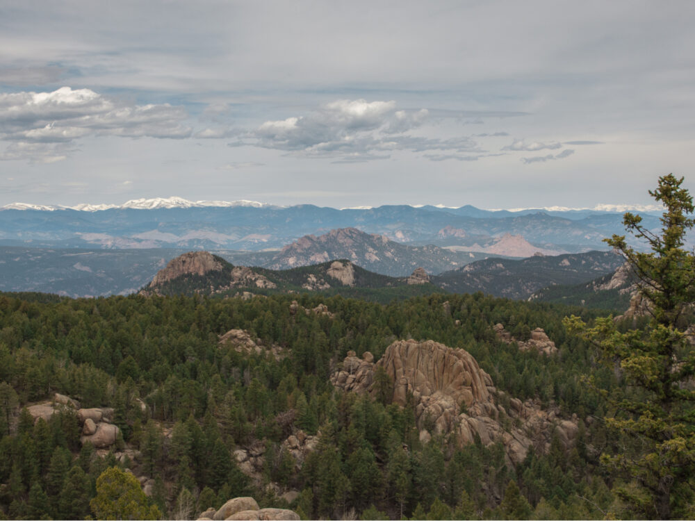 Distinct rocks formations and lush forest of Devils Head Lookout Trail, one of the best hikes near Denver, and a vast skyline in background