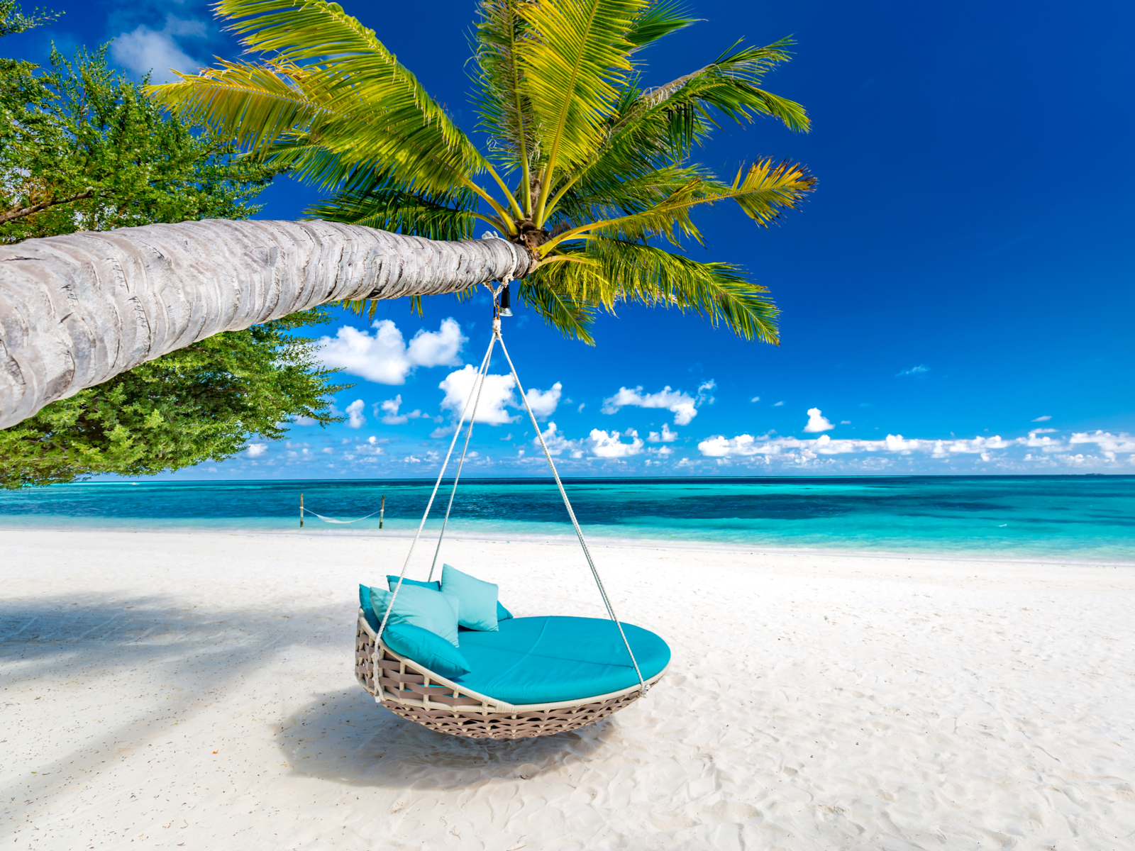 Neat view of a green wicker chair hanging from a palm tree over a beach during the best time to visit the Maldives