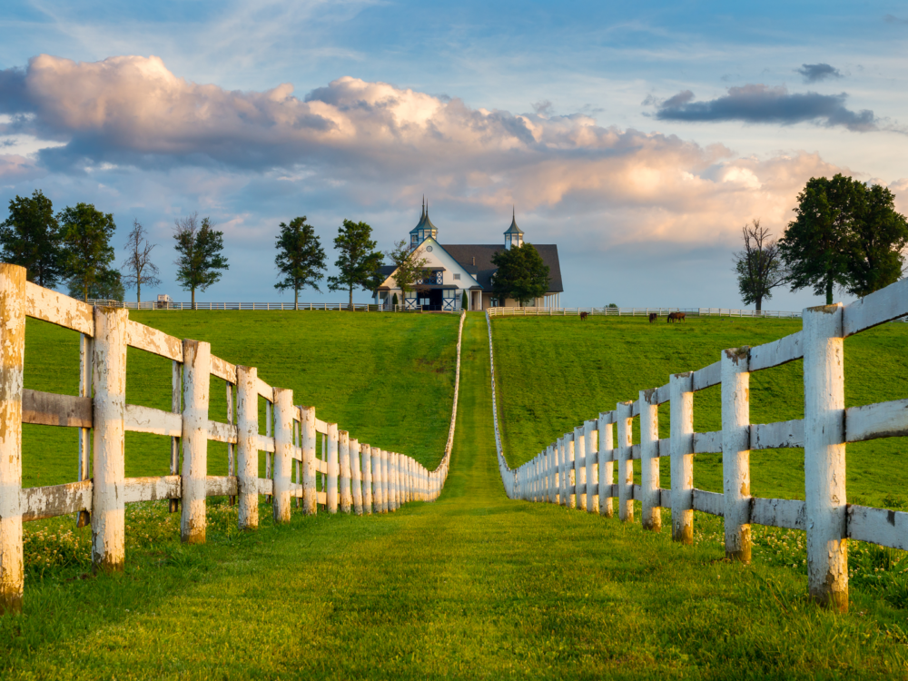 A path in between fenced areas leading to a house in a horse farm and some horses seen grazing, one of the best things to do in Kentucky