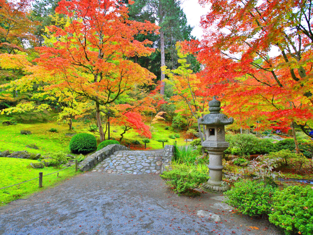 Seattle Japanese Garden, one of the best things to do in Seattle