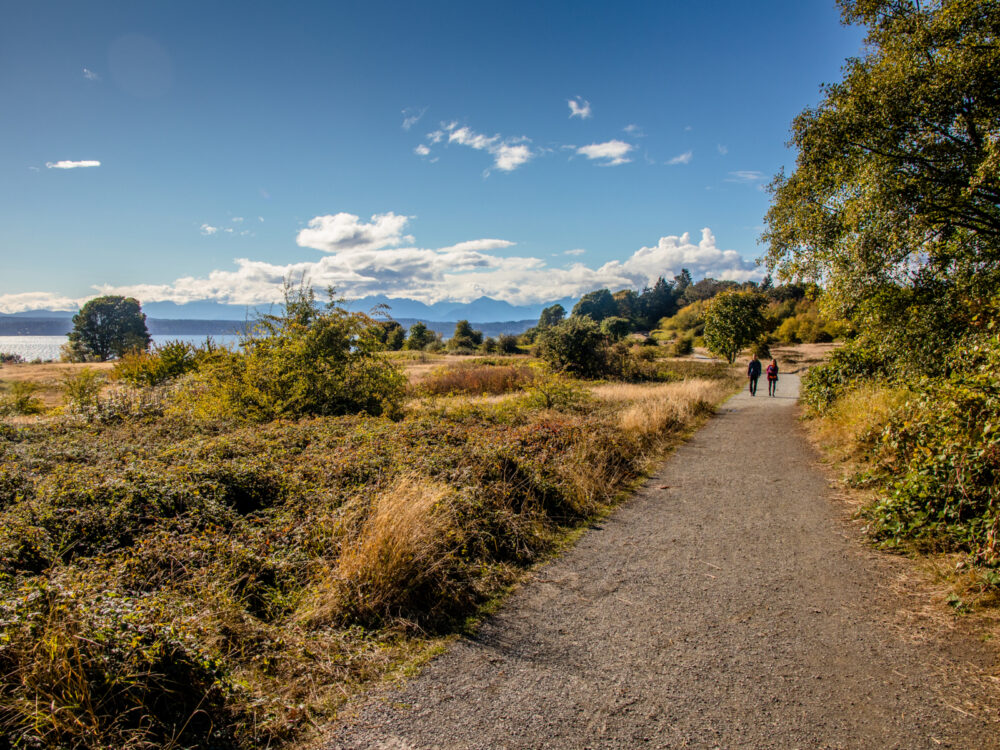 View from a trail in Discovery Park, one of the best things to do in Seattle