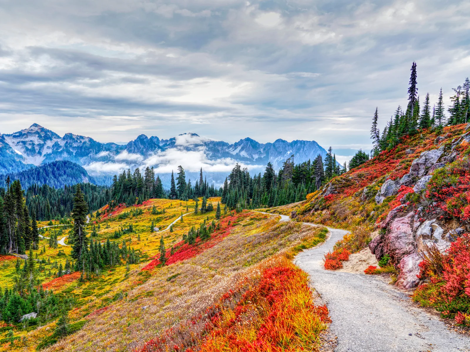 Gorgeous fall views in Mount Rainier National Park, one of the best places to visit in Washington State, as seen from a hiking trail