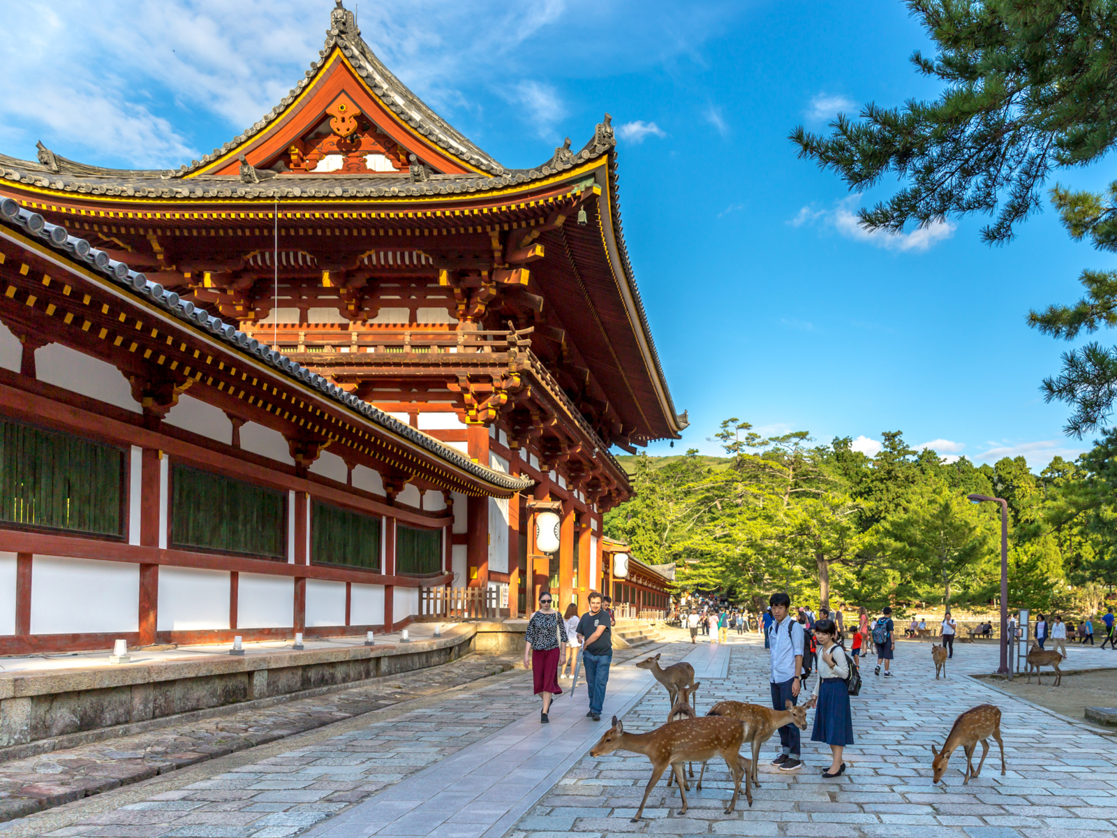 Outside of Nara, one of the best places to visit in Japan, with people feeding the deer