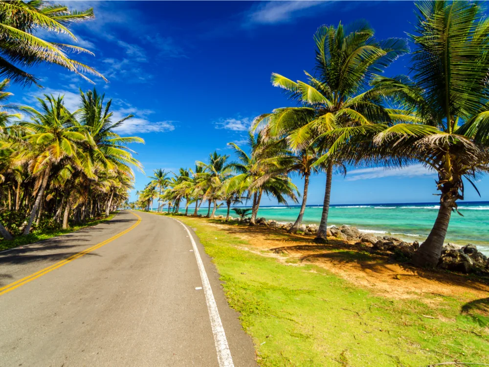 Highway with gorgeous teal water on the other side of palm trees on one of the best places to visit in the Caribbean