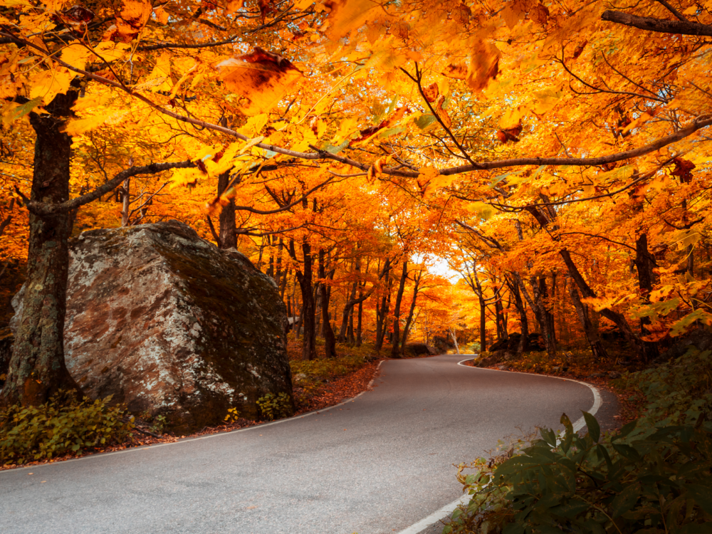 Dramatic winding road in Autumn for a piece on the best places to visit in Vermont