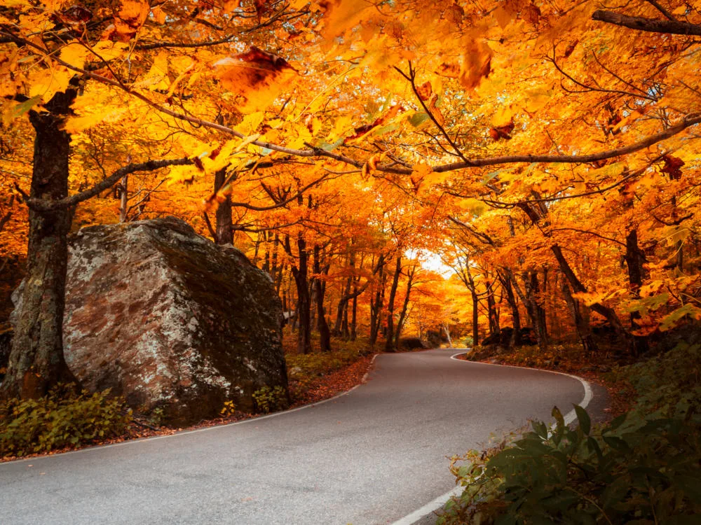 Dramatic winding road in Autumn for a piece on the best places to visit in Vermont