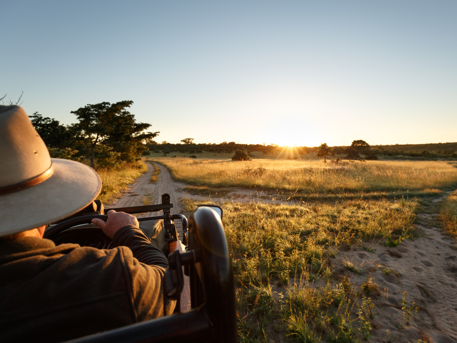 View from a classical and restored safari vehicle at the Sabi Sand Game Reserve