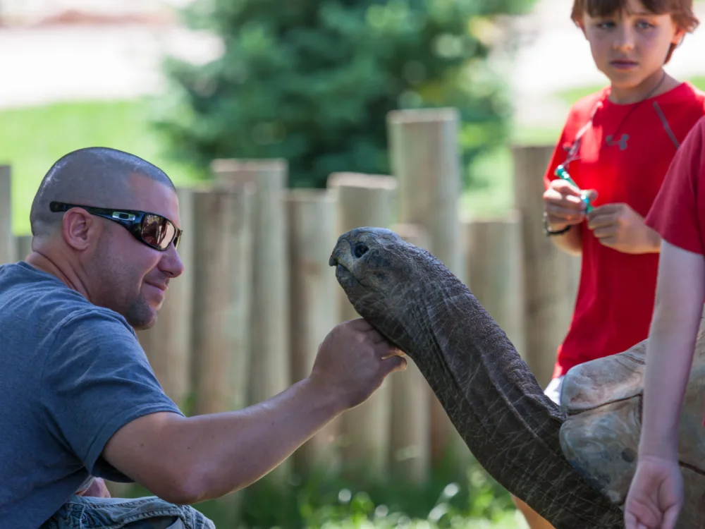 A father petting a tamed Aldabra Tortoise at Reptile Gardens, with his kids on each side, as one of the best South Dakota tourist attractions