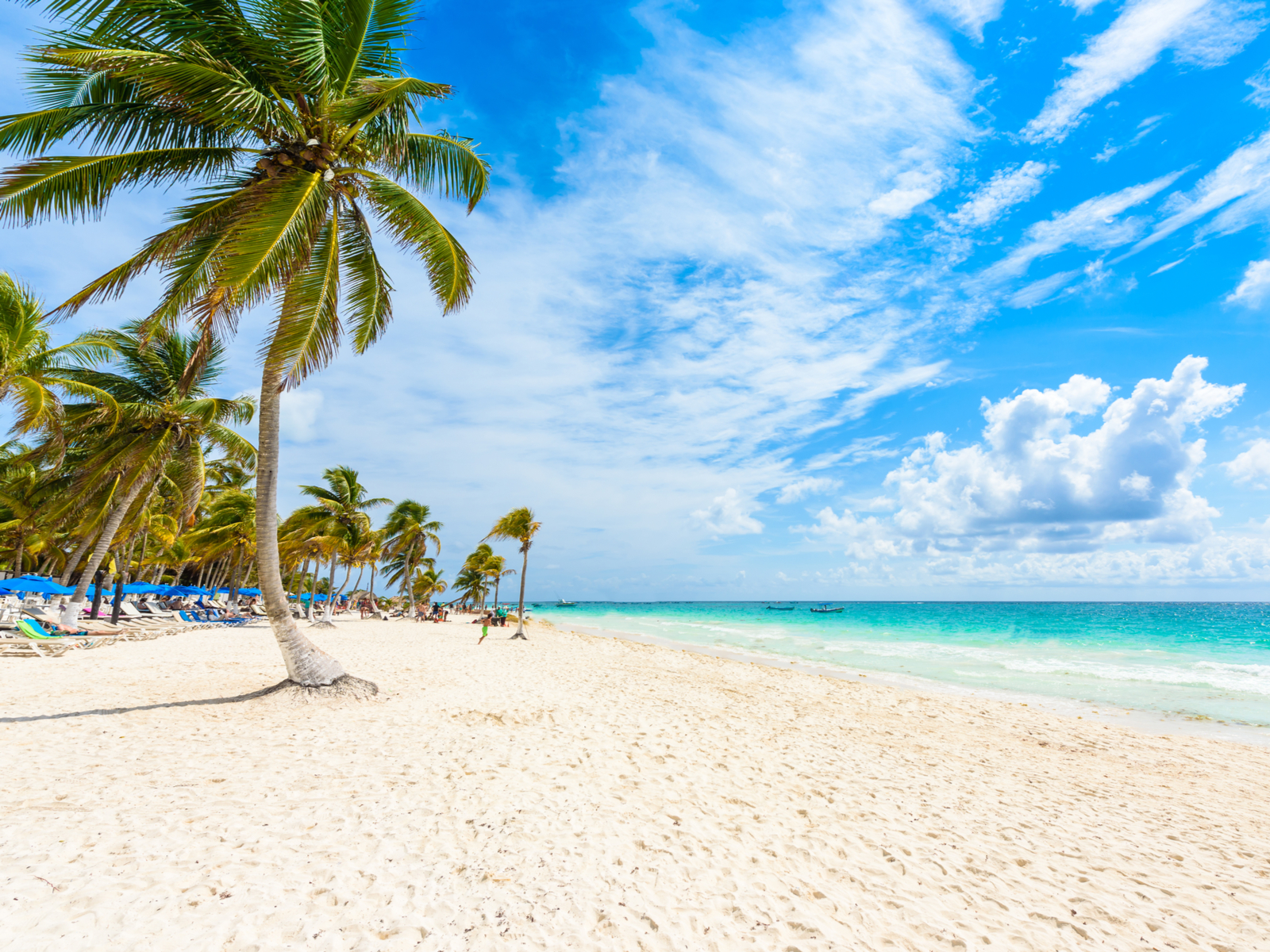 Image of Paradise Beach with palm trees and white sand for a piece on the best hotels in Tulum