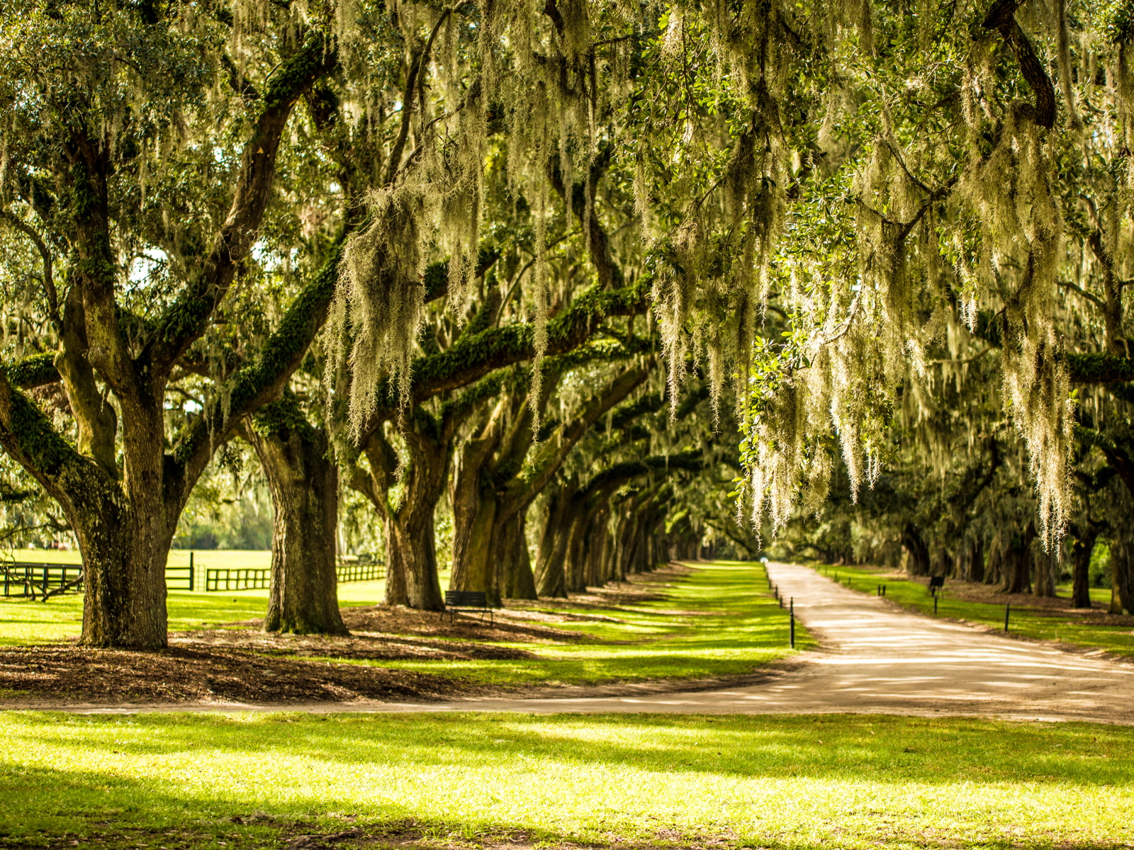 Popular Boone Hall Plantation pictured during the best time to visit Charleston