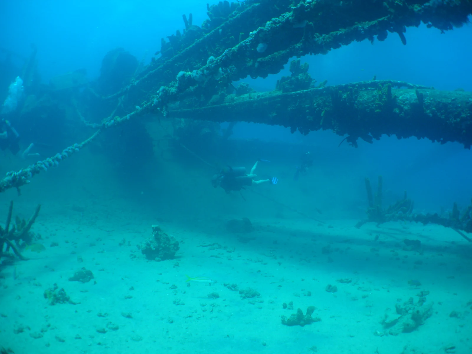People diving the wreck of the SS Antilla, one of the must-see sights in Aruba