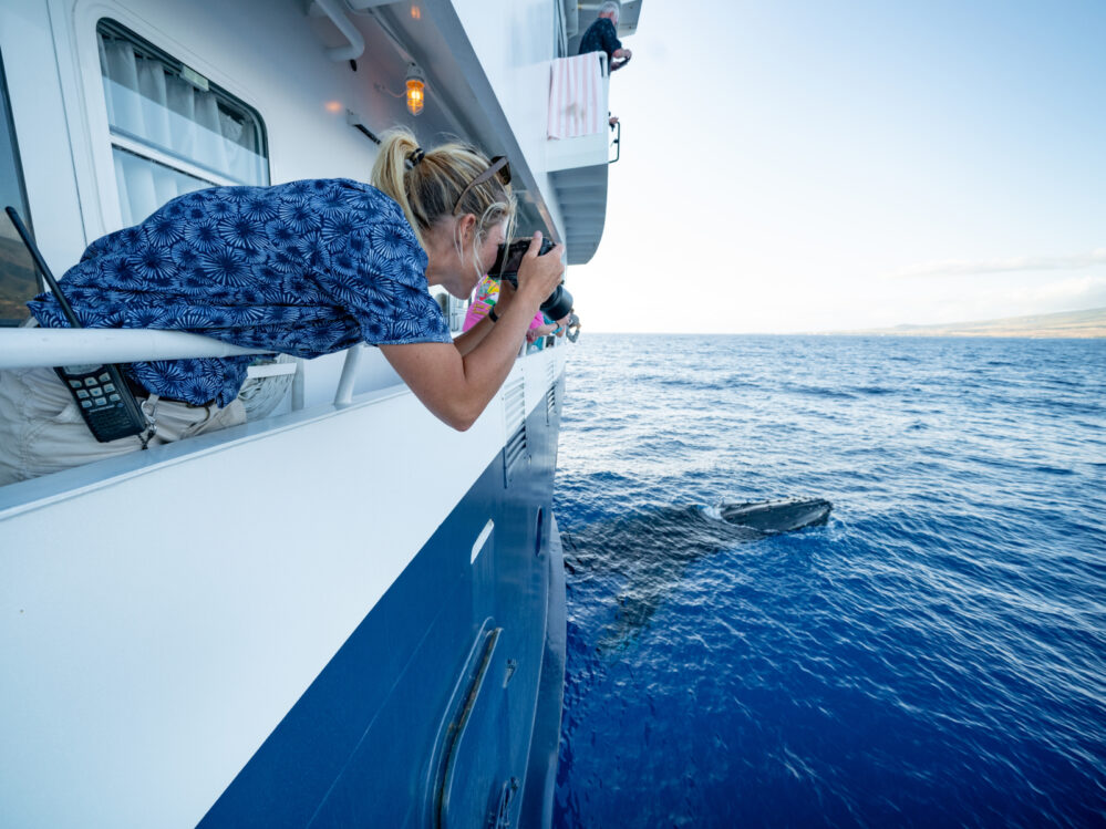 Woman watching a whale from the side of a boat for a piece on things to do in Maui
