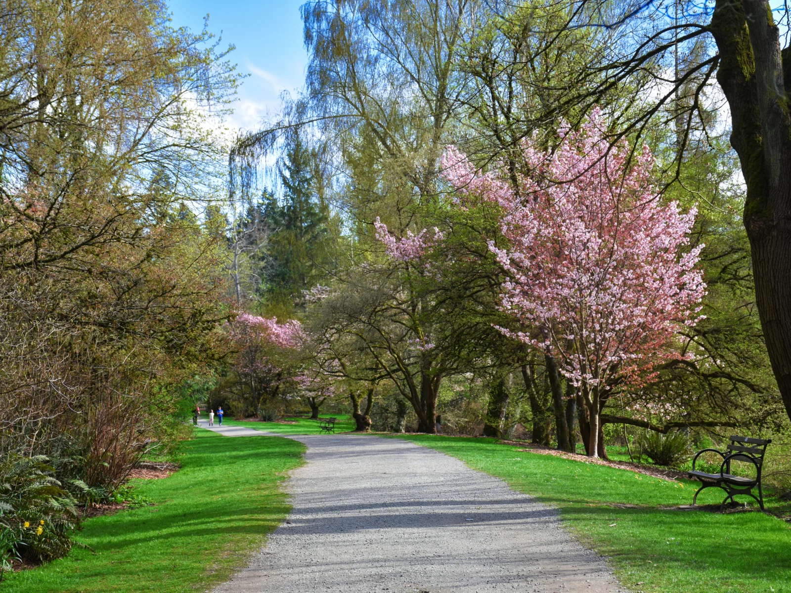 Bellevue Botanical Garden in Seattle, one of the best places to visit in Washington State